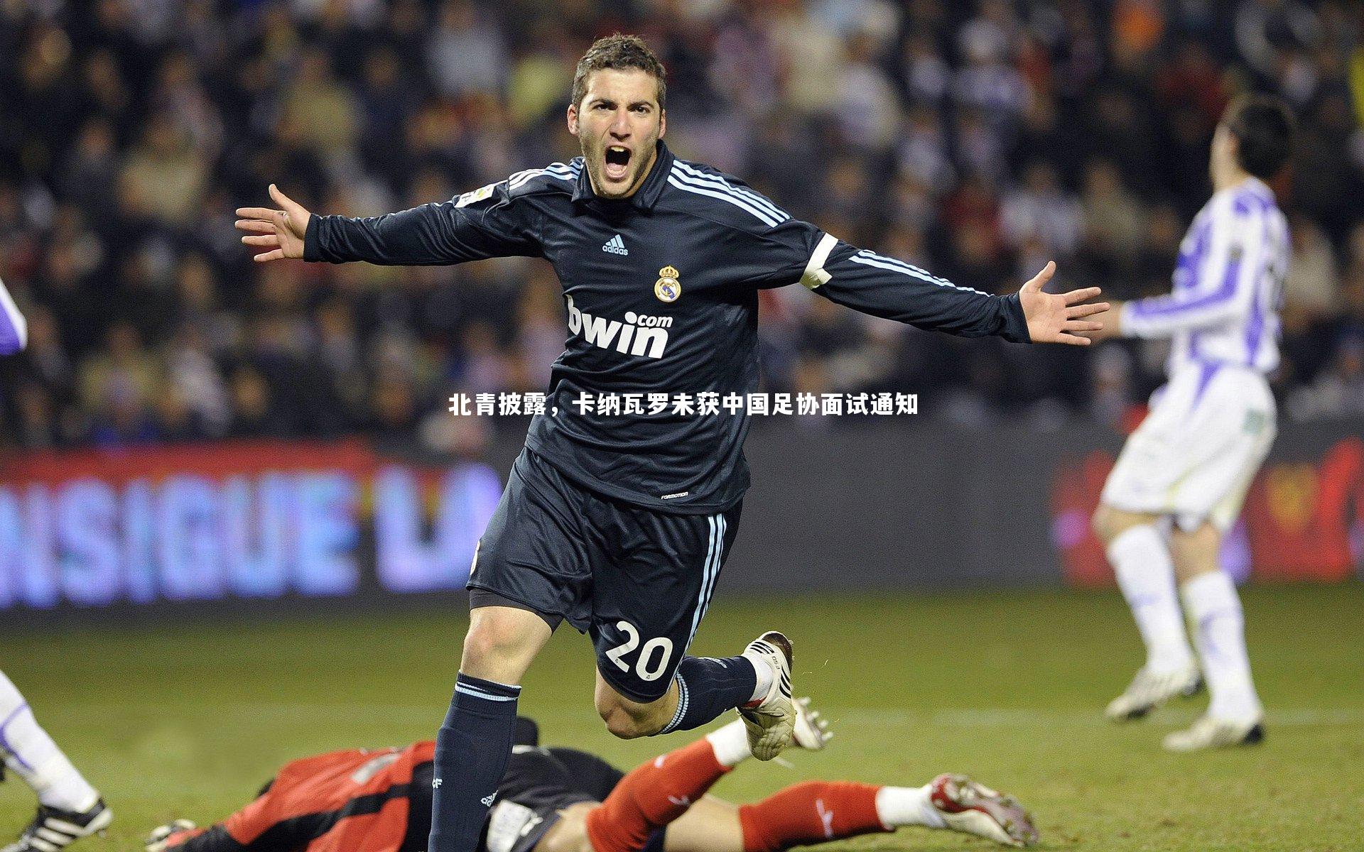 B体育官方网站-北青披露，卡纳瓦罗未获中国足协面试通知